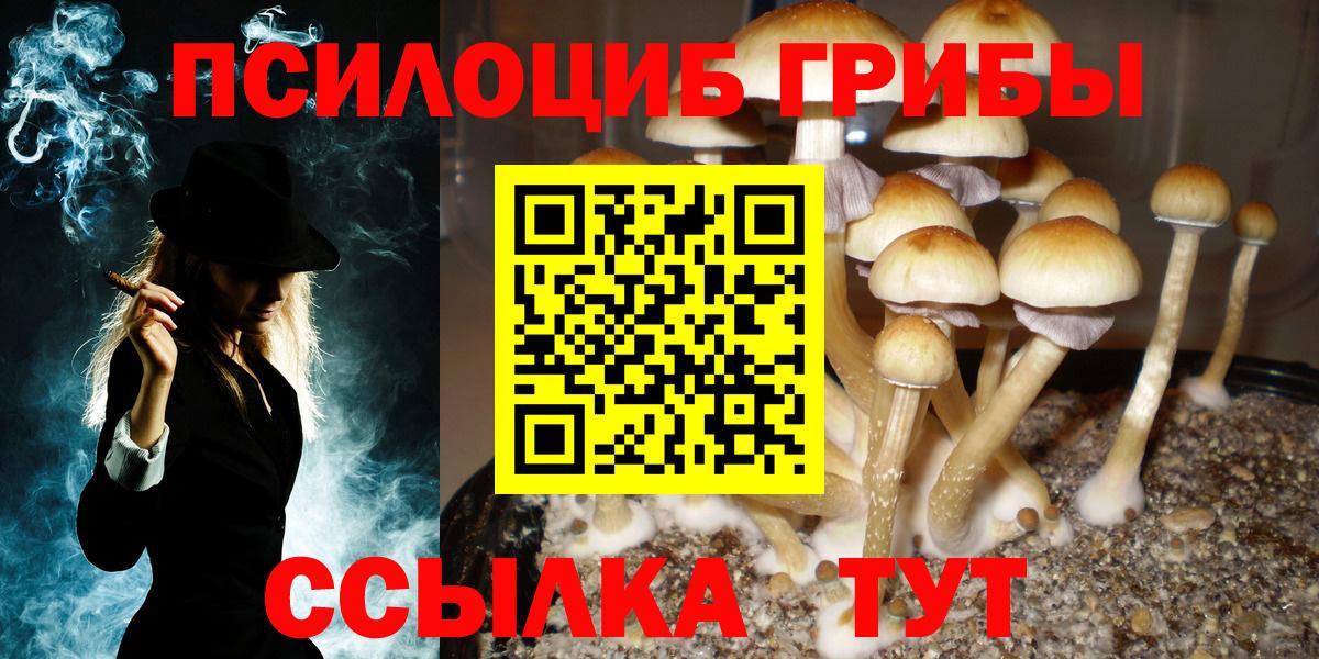 Галлюциногенные грибы GOLDEN TEACHER Королёв